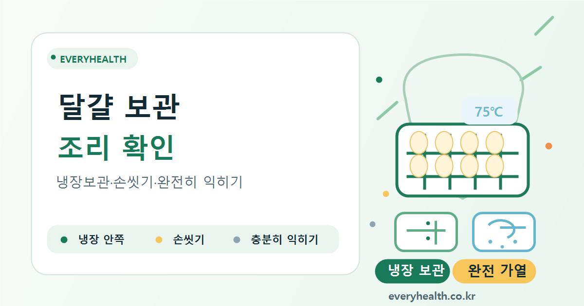 달걀 보관과 조리 기준, 살모넬라 식중독 예방을 위해 확인할 점