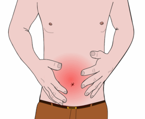 다이어트 보조제 가르시니아 카테킨 간 독성 위험과 안전한 복용 기간 기준